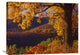 "Autumn Deciduous Forest, Shenandoah National Park, Virginia" Artwork, 32" x 24"