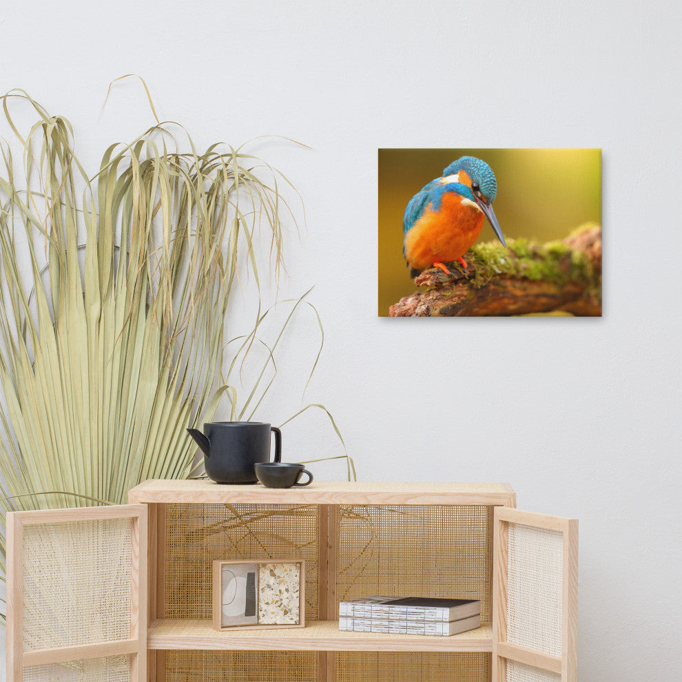Kingfisher Bird on Perch 2 Animal Wildlife Photo Canvas Wall Art Prints, 18" X 24"