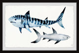 "Sharks Duo" Framed Painting Print, 30"x20"