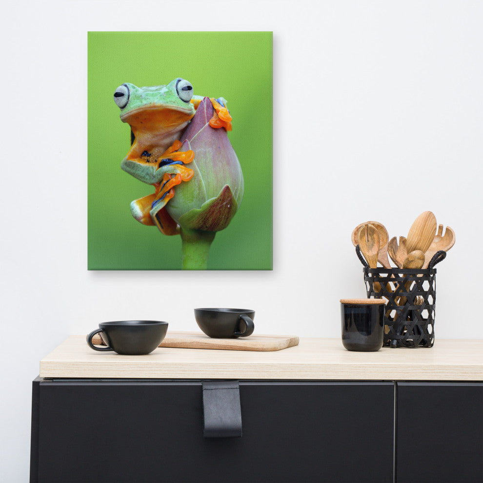 Tiny Green Tree Frog on Lotus Bloom Wildlife Floral Photo Canvas Wall Art Prints, 16" X 20"
