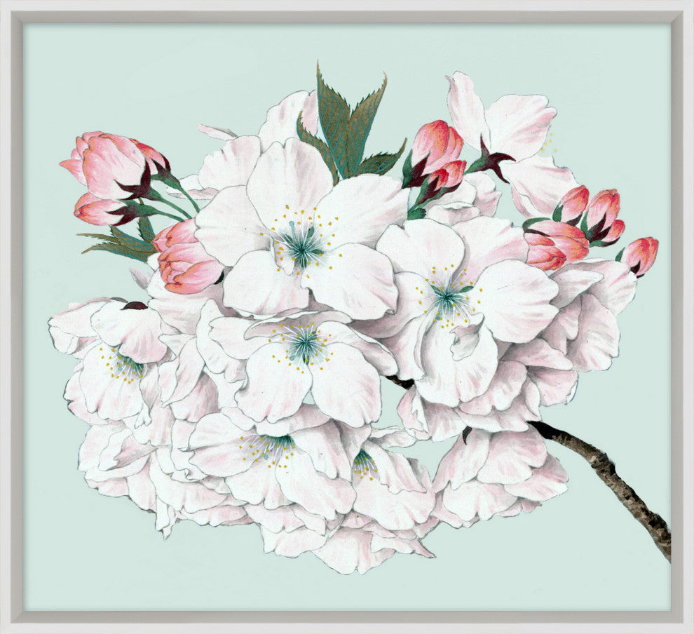 Powder Blue Blossom 5, Giclee Reproduction Artwork