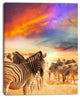 Zebra Herd under Colorful Sunset Sky, Animal Art Canvas Print, 12"x20"