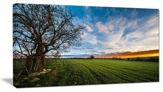 Green Pasture under Blue Sky, Extra Large Landscape Canvas Art Print, 32"x16"