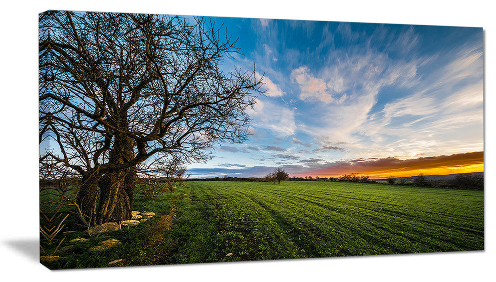 Green Pasture under Blue Sky, Extra Large Landscape Canvas Art Print, 32"x16"