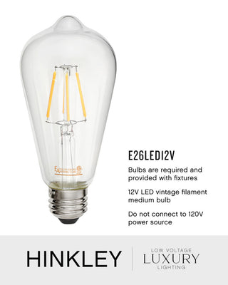 Hinkley Lighting 2687-LV Lakehouse 12v 3.5w 19" Tall Open Air 12v - Black