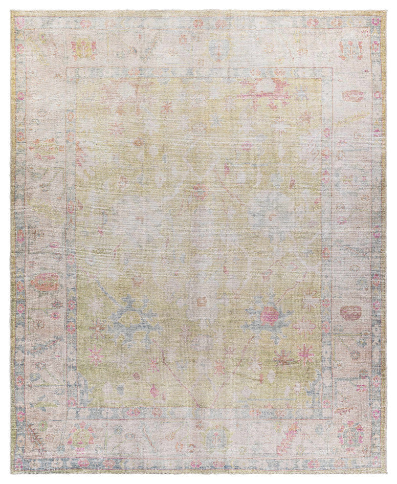Hauteloom Bozkurt Distressed Washable Rug, 2'7"x10' Runner