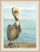 Pelican 1, Giclee Reproduction Artwork