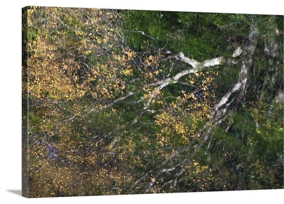 "Reflected Autumn" Wrapped Canvas Art Print, 36"x24"x1.5"