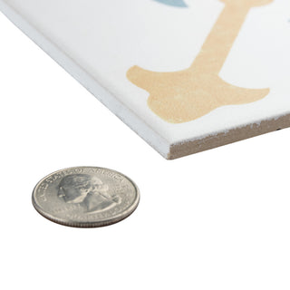 Revival Ceramic Floor and Wall Tile, Spectrum