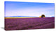 "Lavender Flowers With Old House" Landscape Wall Art Print, 1 Panel, 60"x28"