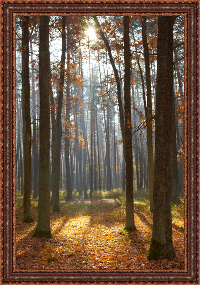 "Autumn Forest" Framed Wall Art, Ready to Hang