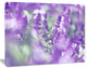 Beautiful Purple Mint Flowers, Large Flower Canvas Wall Art, 20"x12"
