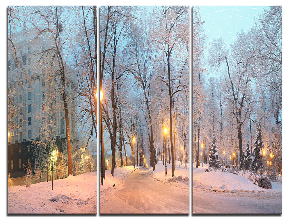 "Mariinsky Garden Panoramic View" Photo Wall Art, 3 Panels, 36"x28"