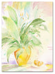 ''The Peace Lily'' Canvas Art by Sheila Golden