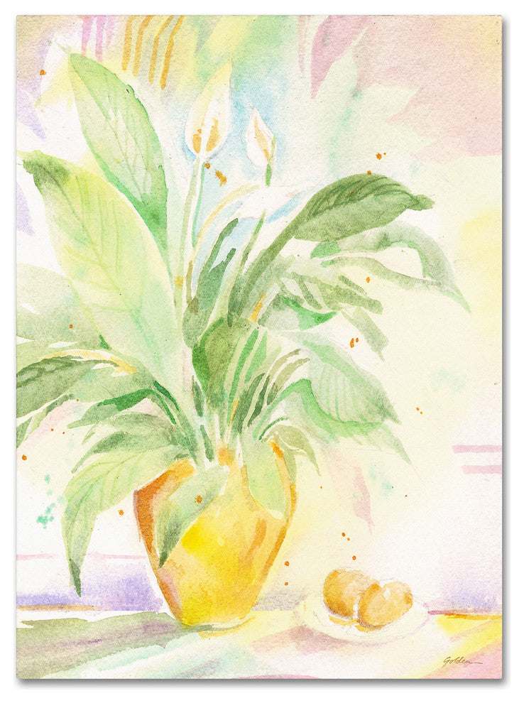 ''The Peace Lily'' Canvas Art by Sheila Golden