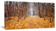 "Yellow Fallen Leaves in Morning" Landscape Photo Wall Art, 32"x16"