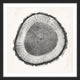 "Tree Ring II" Framed Painting Print, 24"x24"