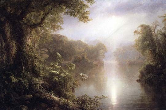 Morning in the Tropics - Canvas Poster 20" x 30"