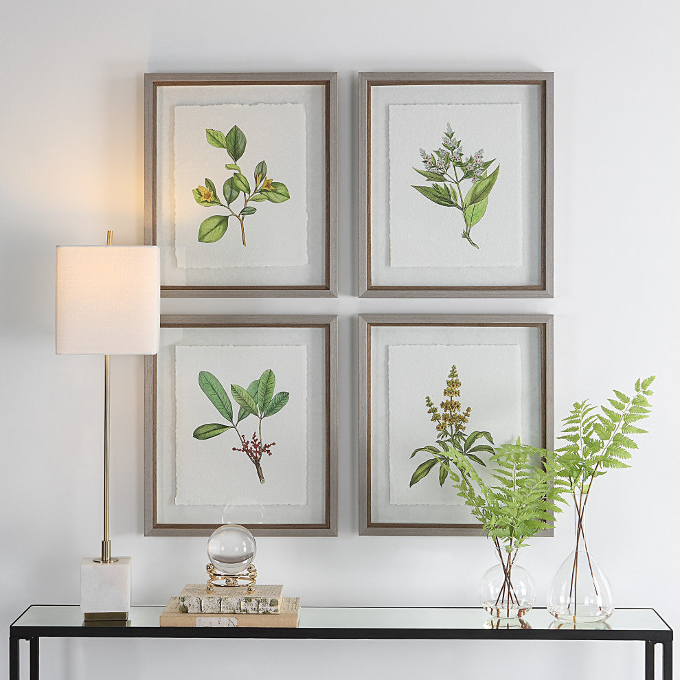 Uttermost Wildflower Study Framed prints, 4-Piece Set