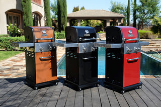 Permasteel 2 Burner Gas Grill with Folding Side Shelves, Black