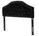 GDF Studio Lazarus New Velvet Studded Seam Tufted Queen/Full Headboard, Black