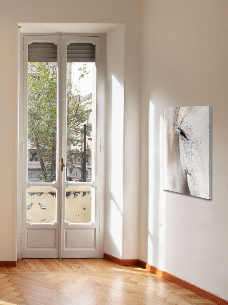 "Horse Eye" Painting Print on Wrapped Canvas