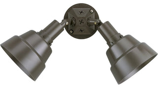 Progress Lighting 2-150W Par 38 Lampholder, Antique Bronze