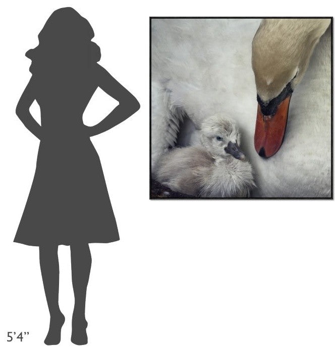 "Close To You" Framed Canvas Giclee by Piet Flour, 37x37"