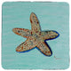 Aqua Starfish Coaster - 3 Sets of 4 (12 Total)