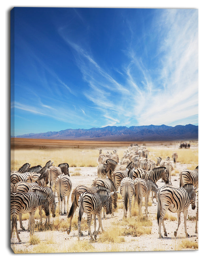 Herd of Zebras under Blue Sky, African Canvas Art Print, 12"x20"