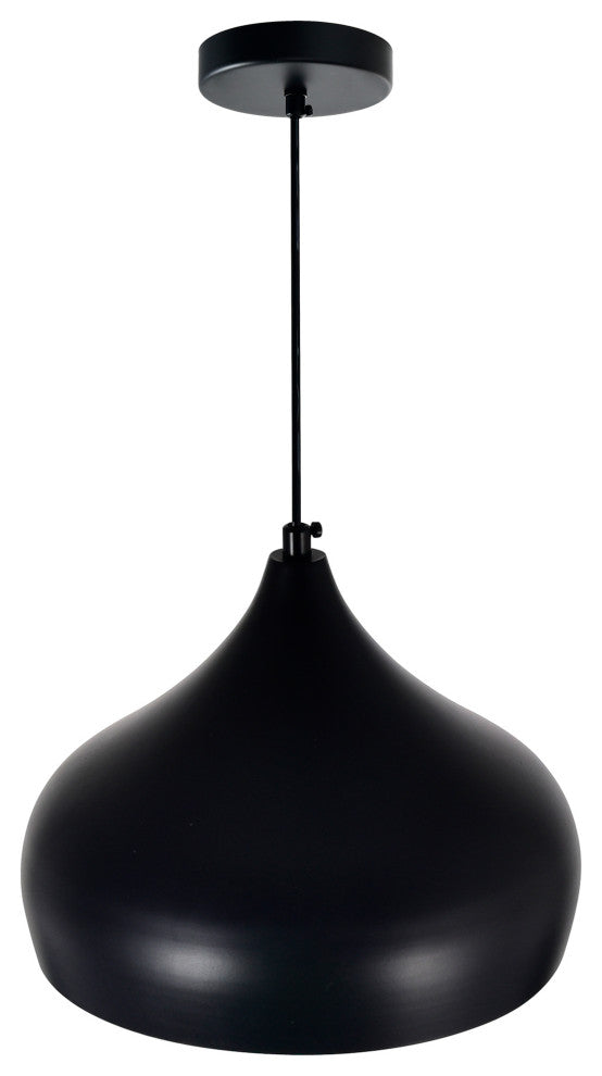 Dynamic 1 Light Down Pendant With Black Finish