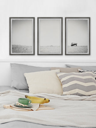 A Lone Bison Triptych, Set of 3, 12x18 Panels
