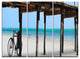 "White Sand Beach in Zanzibar Island" Metal Wall Art, 3 Panels, 36"x28"