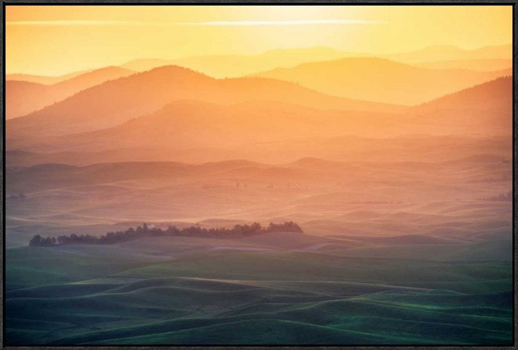 "Dreamy Morning" Framed Canvas Giclee by Naphat Chantaravisoot, 37x25"