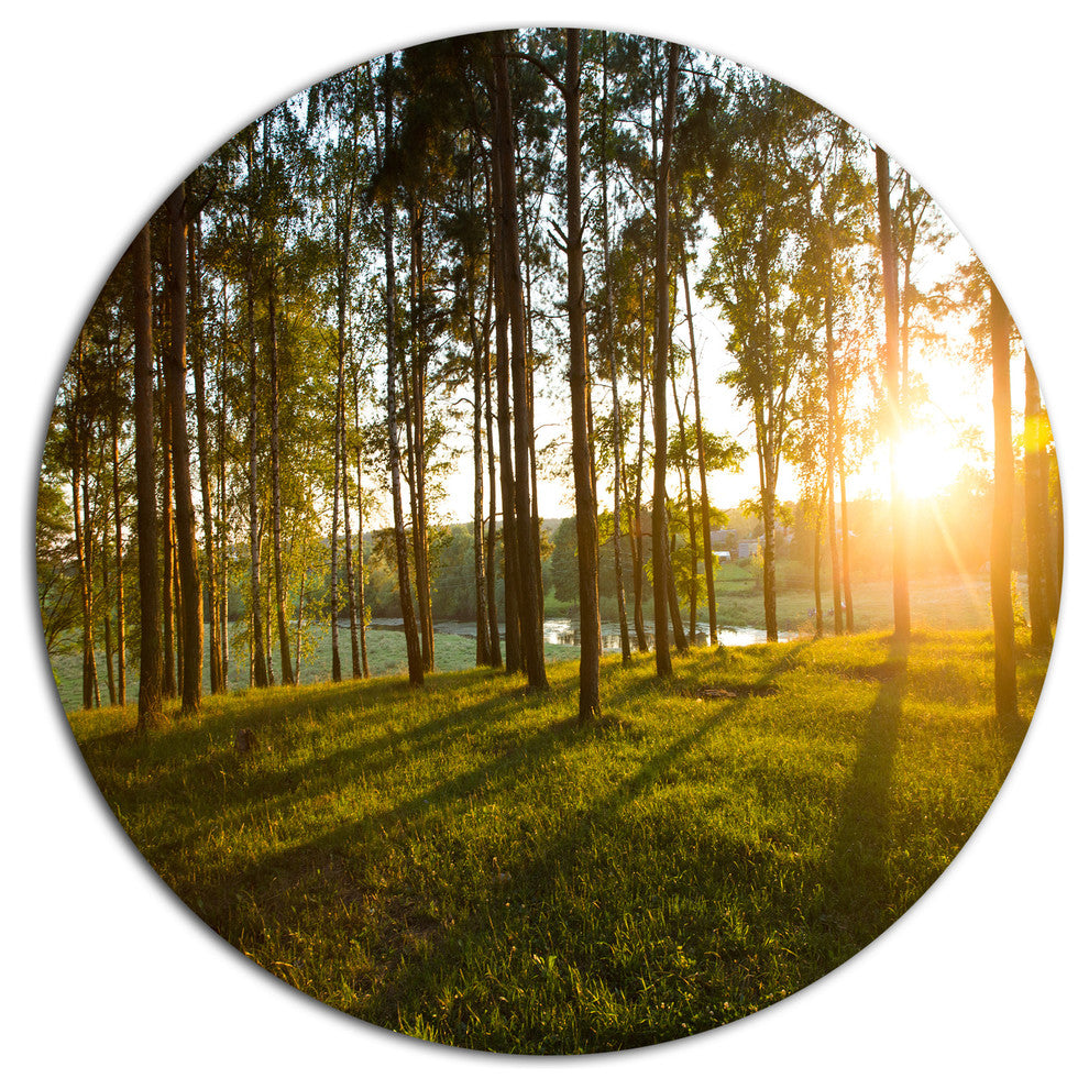 Bright Sunlight In Dense Forest, Landscape Disc Metal Wall Art, 23"