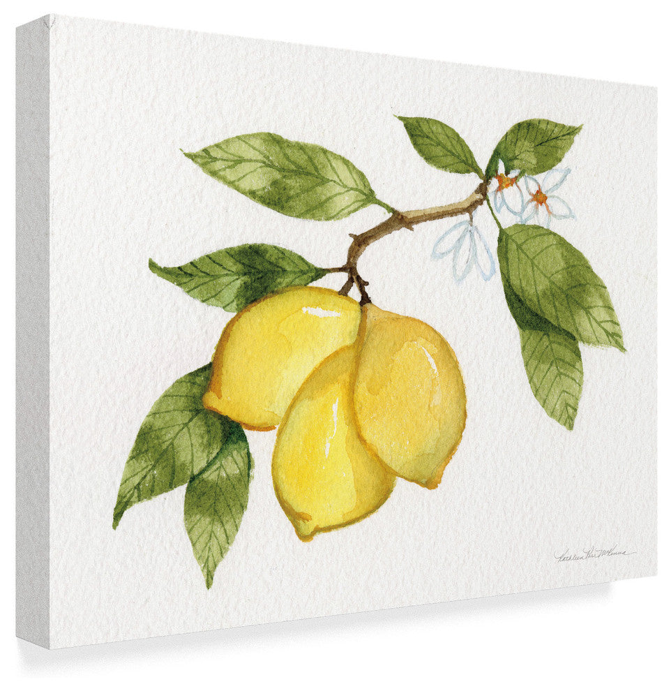 Kathleen Parr Mckenna 'Citrus Garden I' Canvas Art