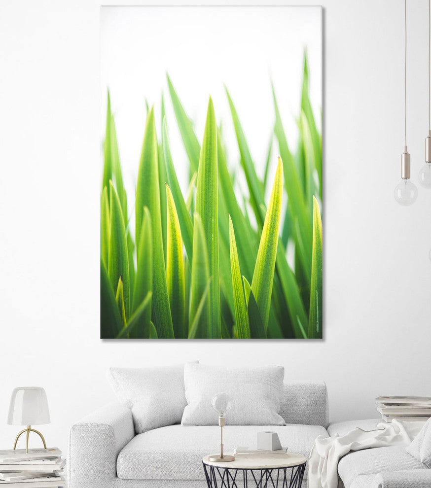 Blades of Green No. 2 - 72 x 48 by Sonja Quintero