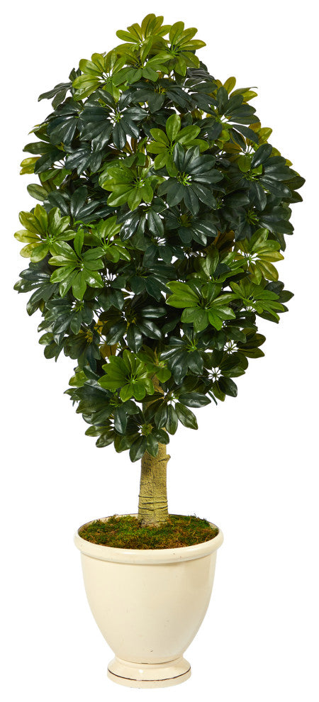 5' Schefflera Artificial Tree, Decorative Urn, Real Touch