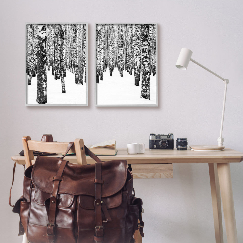 Rustic Winter Forest Scene Birch Trees,16 x 20