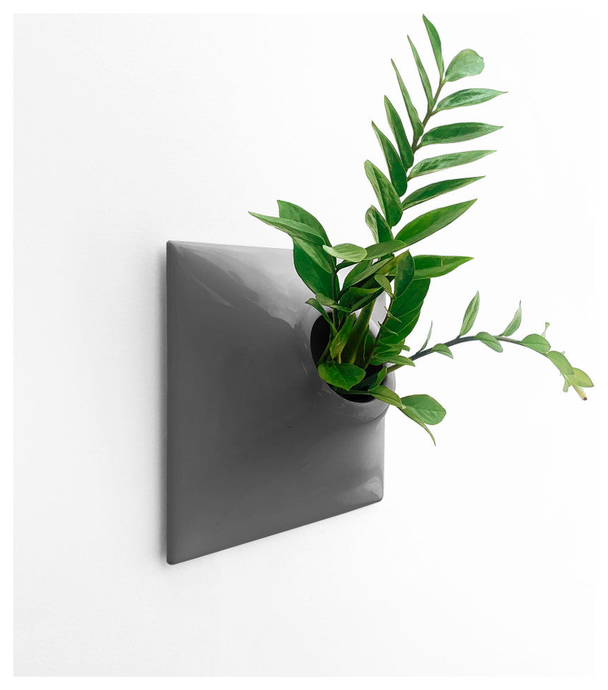 Modern Wall Planter, Node 12", Large, Ceramic, Dark Gray