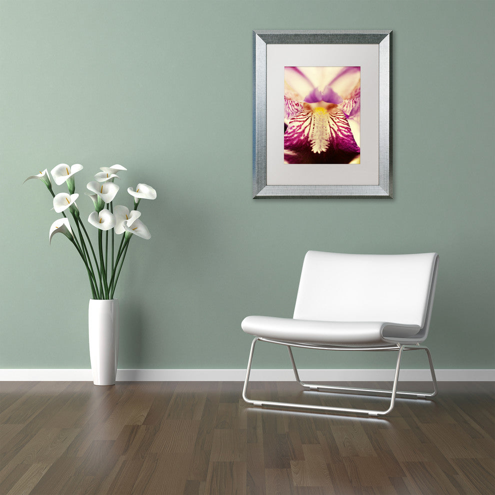 PIPA Fine Art 'Antiqued Iris' Matted Framed Art, 14x11