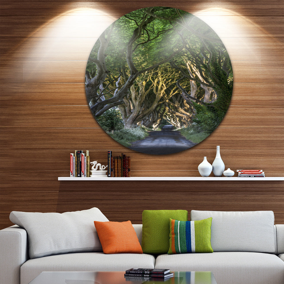 The Dark Hedges, Landscape Photography Disc Metal Artwork, 38"