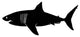 VWAQ Great White Shark Wall Decal Large Shark Home Decor Kids Room Huge Shark