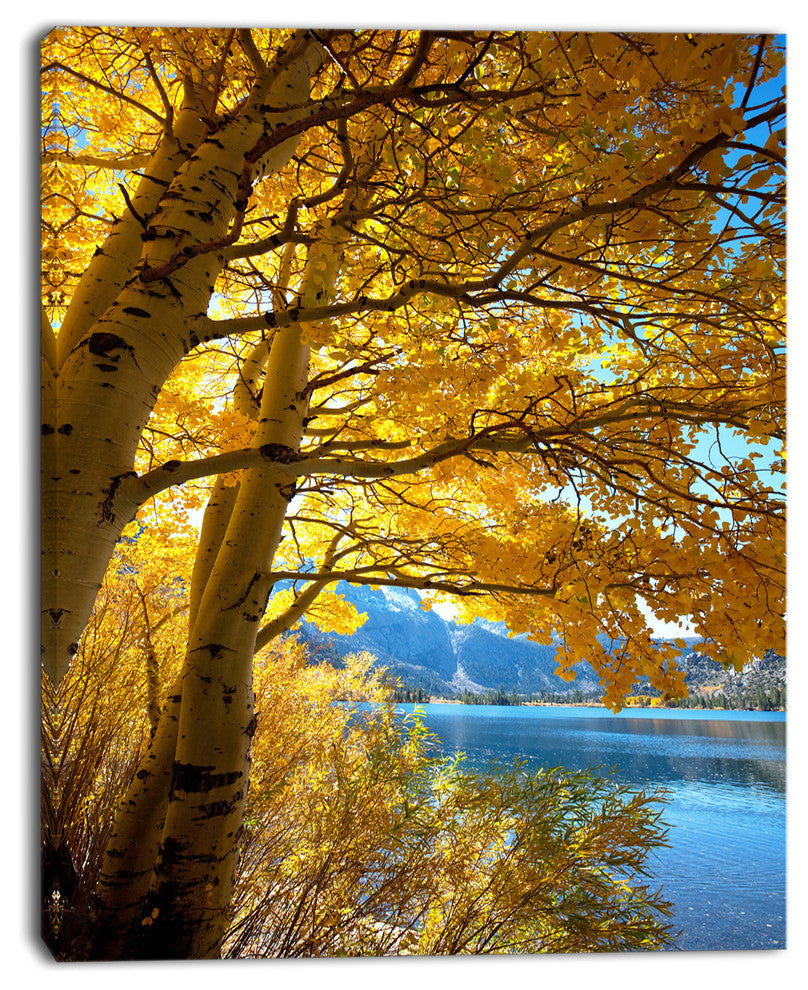 Bright Yellow Autumn Tree, Oversized Landscape Canvas Art, 12"x20"