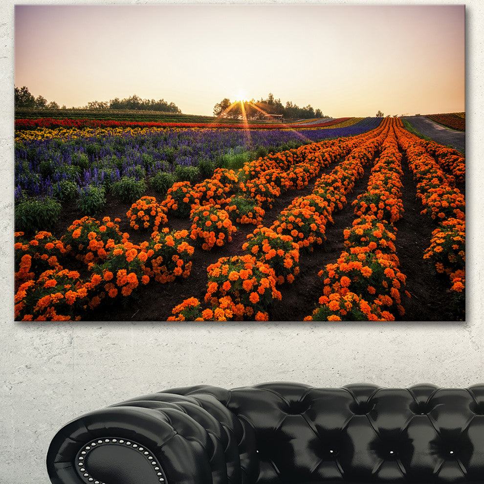 Beautiful Japanese Flower Farm, Floral Canvas Art Print, 40"x30"