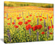 "Sea of Blossom" Canvas Print