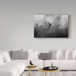 Elior Segev 'Out Of The Blue Bird' Canvas Art, 24"x16"