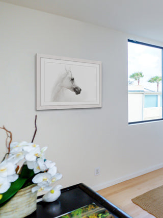 "White Beauty" Framed Paper Print, 45x40 cm