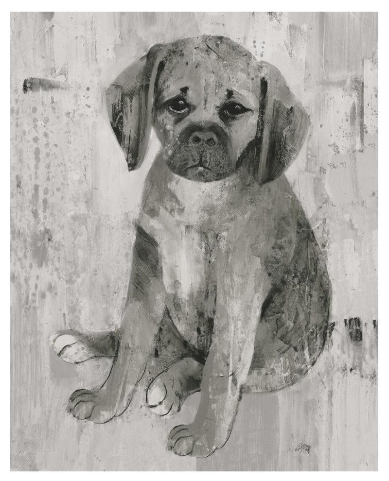"Paco in Grey Tones" Digital Paper Print by Albena Hristova, 22"x26"
