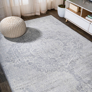 Modern Persian Medallion Gray/Ivory 4'x6' Area Rug